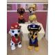 Les petits chiens